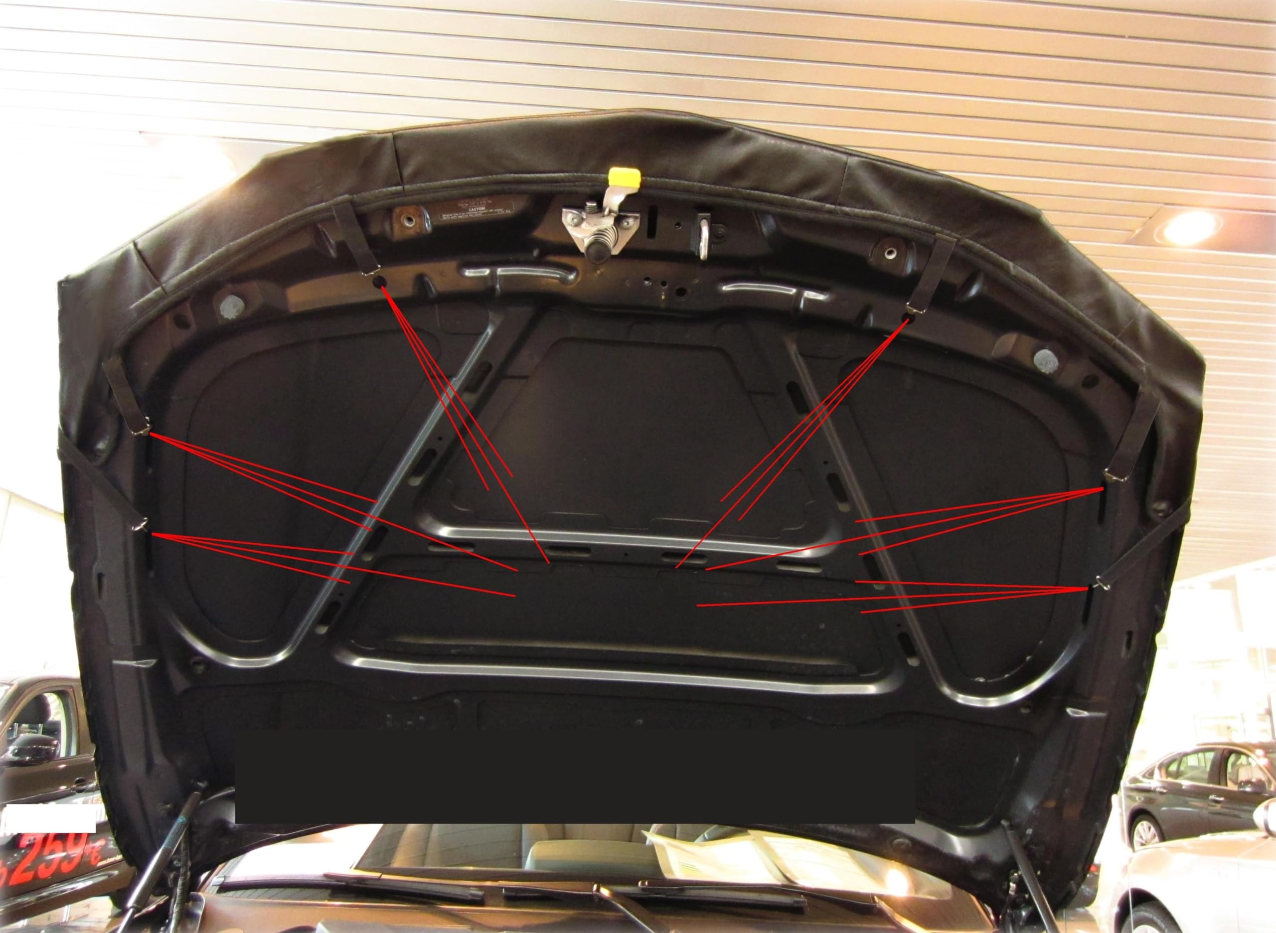 Amazon | ボンネットプロテクター [に適合する] compatible with BMW 1